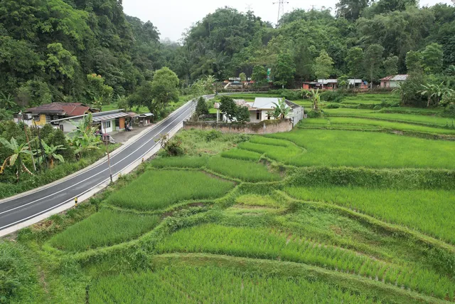 Jalan desa beraspal di tengah sawah berundak